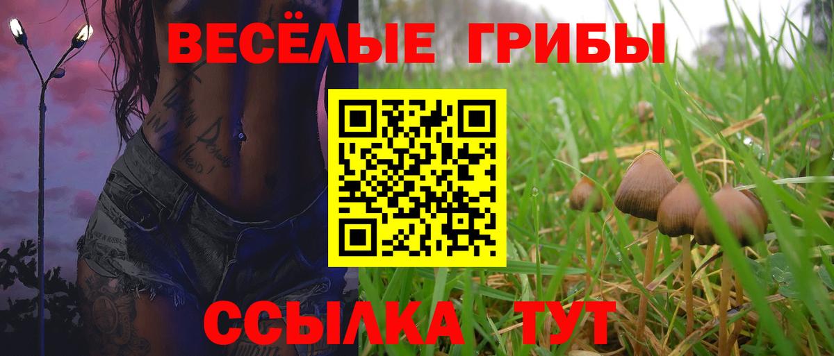 Псилоцибиновые грибы Cubensis Гуково