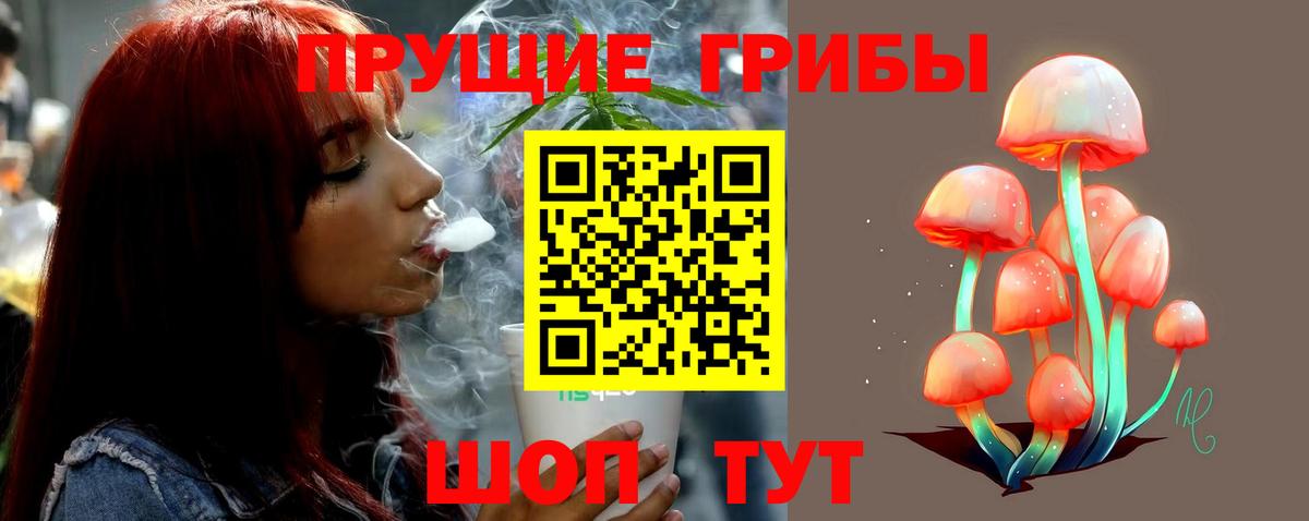 Псилоцибиновые грибы Magic Shrooms  Галлюциногенные грибы Psilocybine cubensis  Гуково  Вход с VPN 